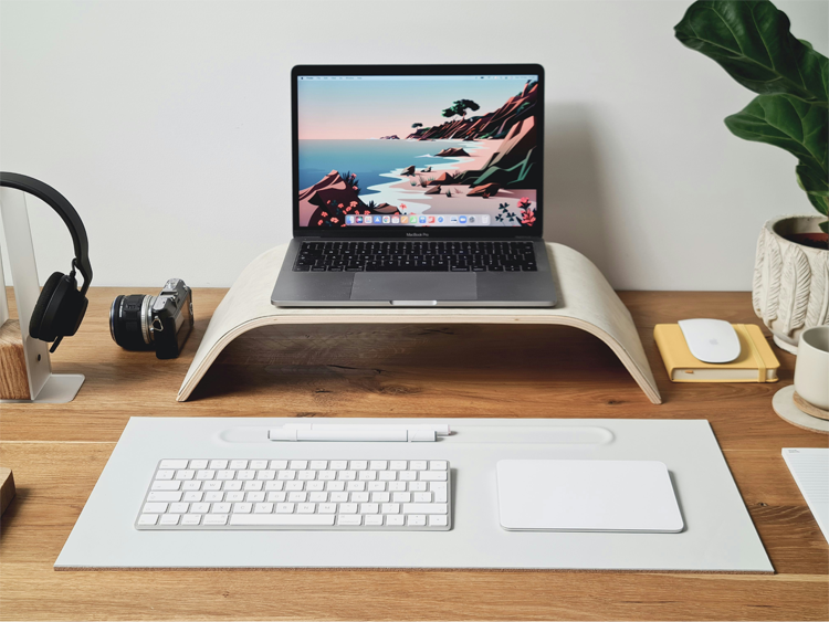 Photography Website Design Styles Compared