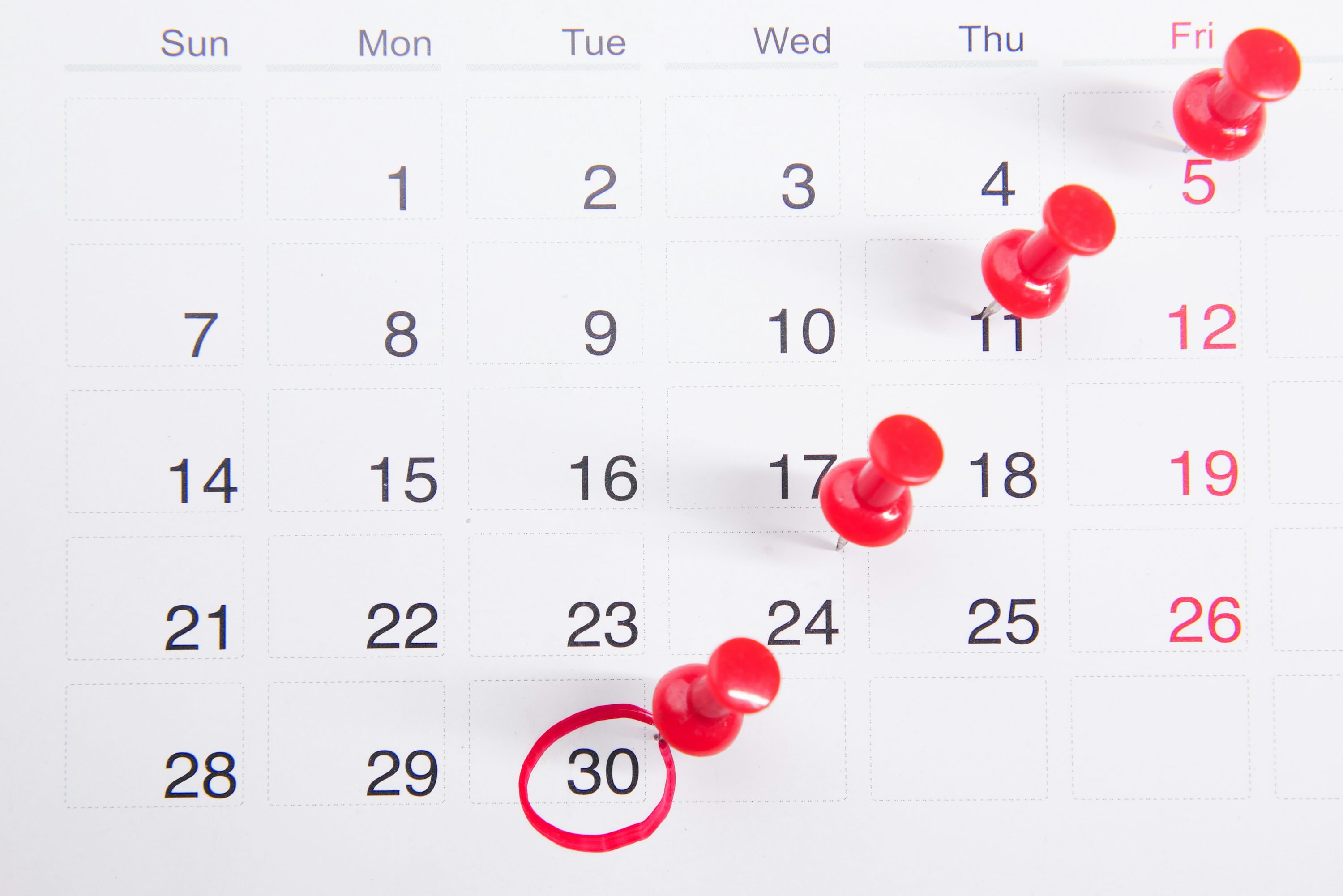 Creating a Convention Event Calendar