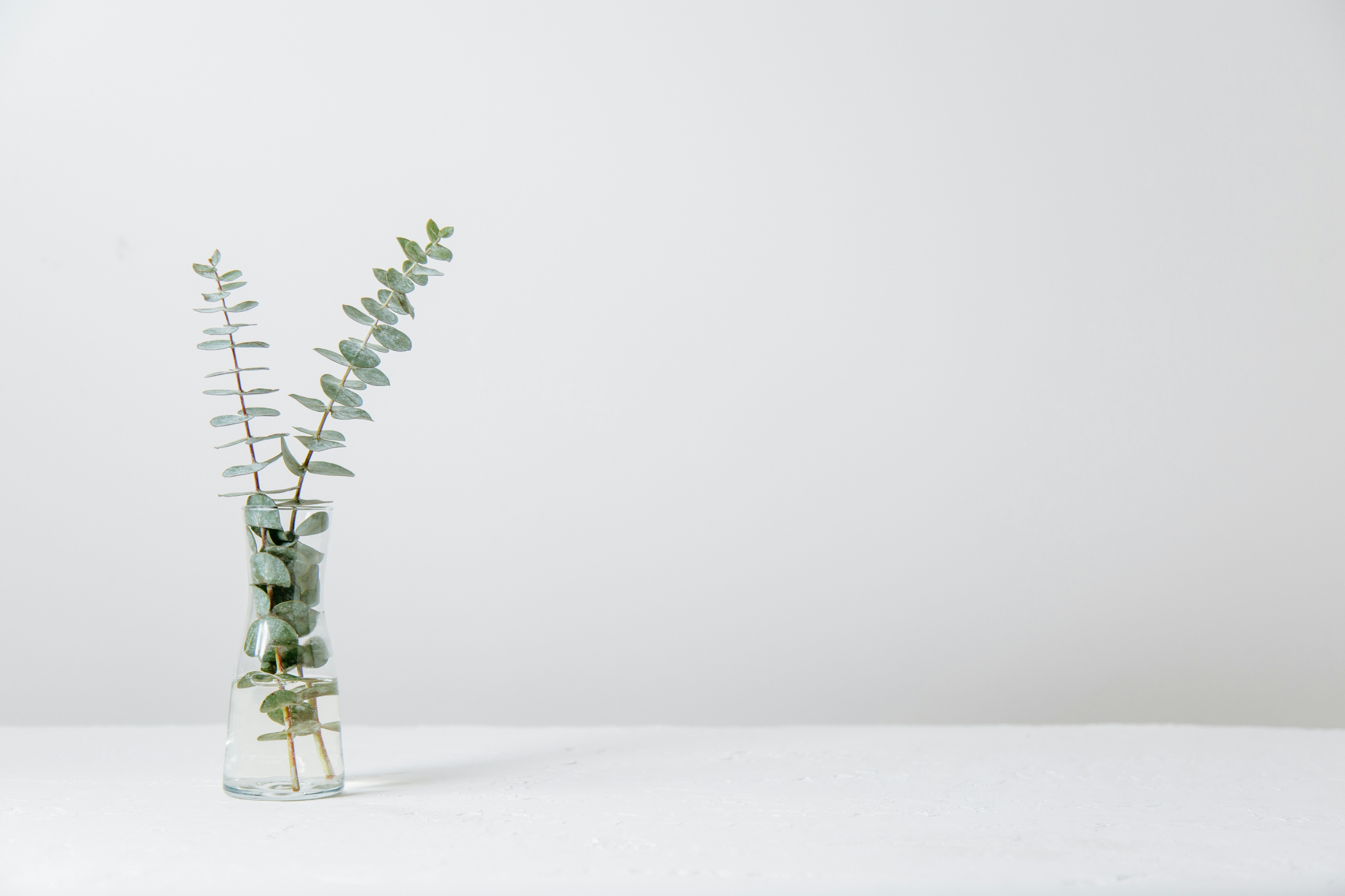 The Power of Whitespace in Web Design