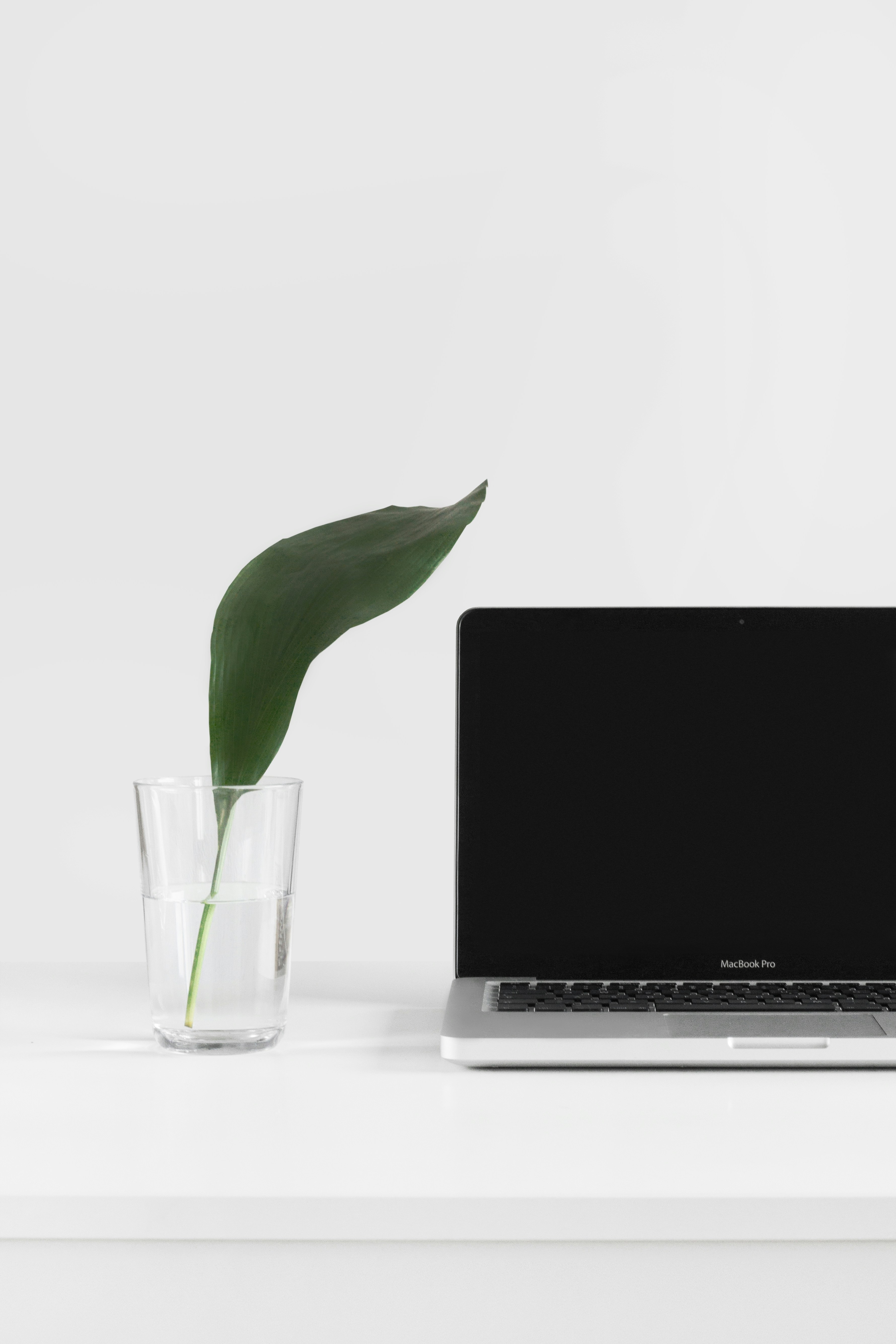 WePage Template Spotlight: Zen Minimal for Clean & Calm Brands